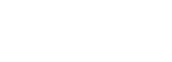 Iron Dog